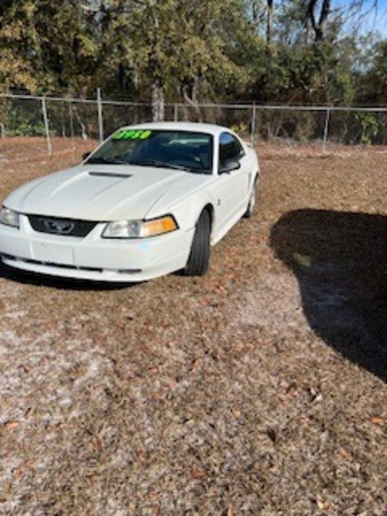 2004 Ford Mustang Standard's photo